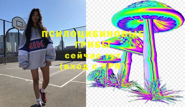 твердый Алексин