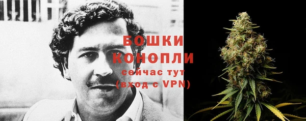 прущий лед Рославль