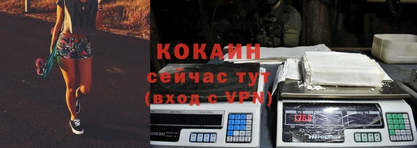 твердый Алексин