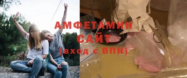 ECSTASY Алзамай