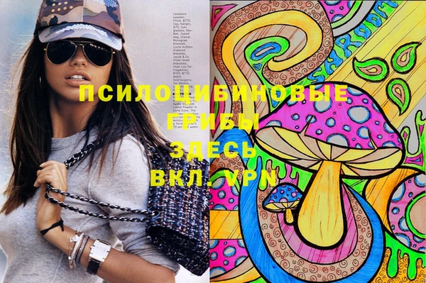 ECSTASY Алзамай
