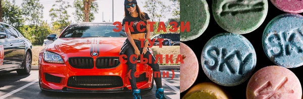 ECSTASY Алзамай