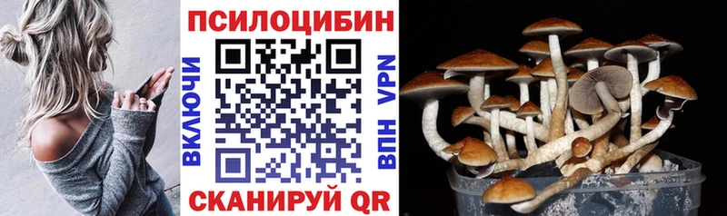 Псилоцибиновые грибы мицелий  Боготол 